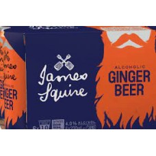 J/SQUIRE GINGER BEER CAN 330ML X 24