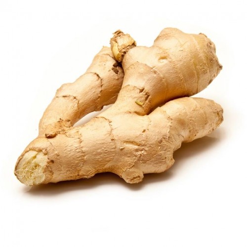 GINGER KG