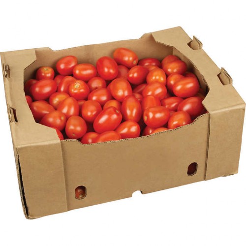 TOMATOES ROMA 10 KG/CTN