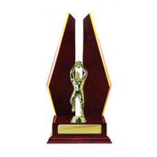 DOUBLE TRIANGLE WING TIMBER TROPHY 305MM