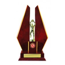 DOUBLE TRIANGLE WING TIMBER TROPHY 365MM
